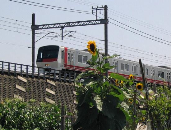 S8000nd