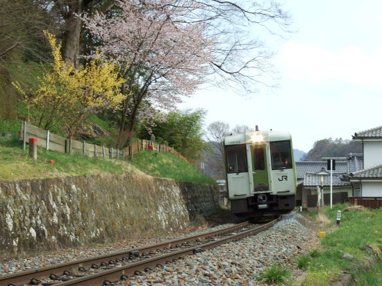 Ln110