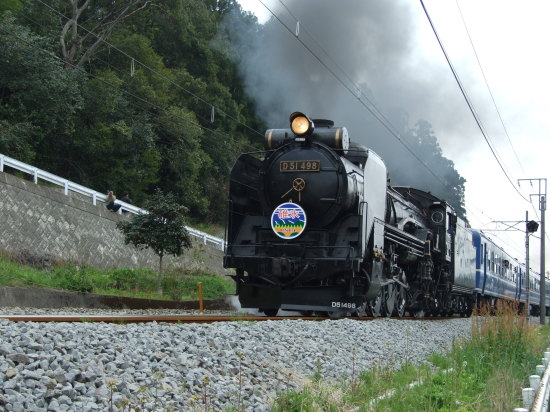 D51 SLOX